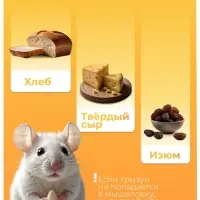 Крысоловка, 27&times;14&times;14 см, металлическая, Greengo