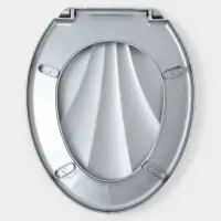 Сиденье для унитаза &laquo;Ракушка&raquo;, 44&times;37 см, с крышкой, серебристый перламутр