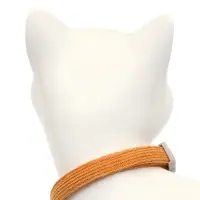 Набор ошейников для кошек, оранжевый, коричневый
