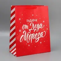 Набор новогодних пакетов «Новогодний подарок» Набор новогодних пакетов «Новогодний подарок»