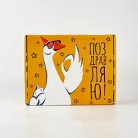 Подарочная коробка-шкатулка &laquo;С ДР&raquo; , 27 &times; 21 &times; 9 см