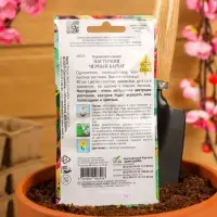 Семена цветов  Настурция "Черный Бархат", 9 шт