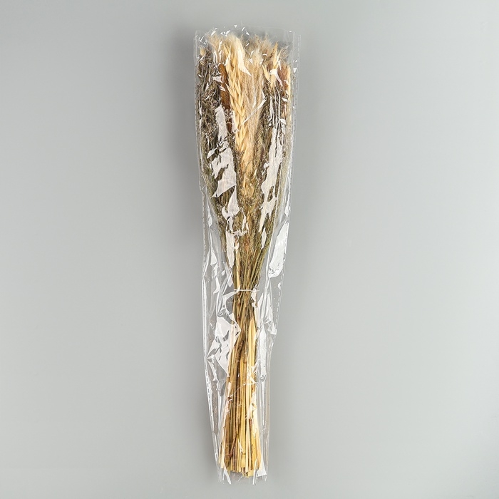 Букет из сухоцветов «Мечта», набор из 85 шт., высота 47 см