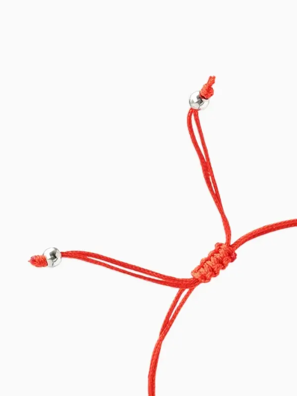 Браслет-оберег &laquo;Став&raquo;, амулет на богатство, черепаха, цвет серебро, 8 см