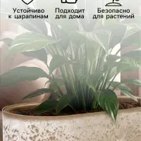 Кашпо для цветов &laquo;Микрит&raquo;, 6 л, 38&times;18&times;16.2 см, пластиковое, со вставкой, бежевое