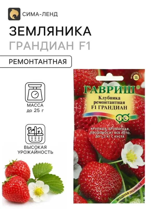 Семена Земляника &laquo;Грандиан&raquo;, F1, 5 шт., ремонтантная, &laquo;Гавриш&raquo;