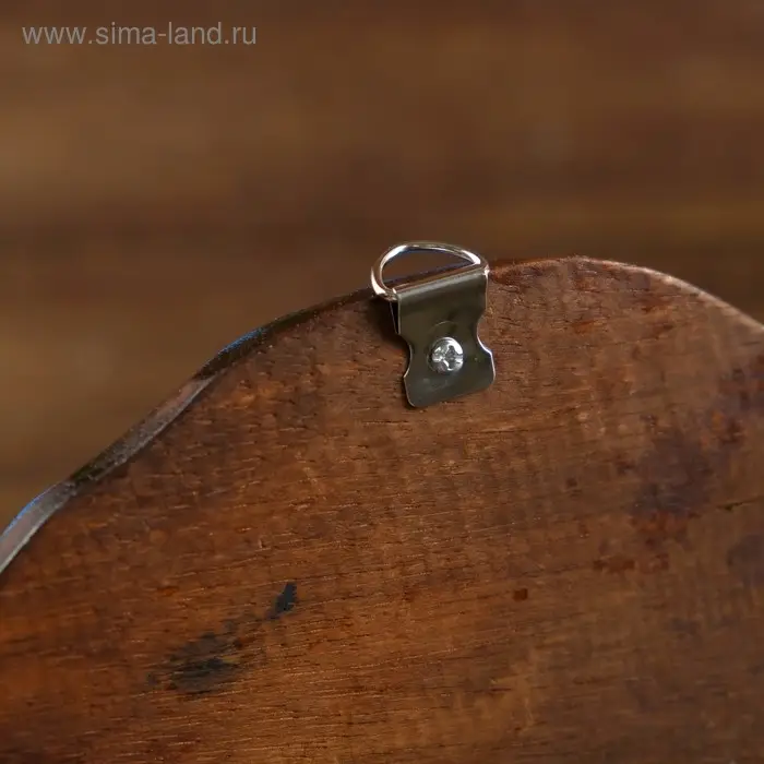 Панно Панно "Рыбка морская" дерево 20х1,5х10 см