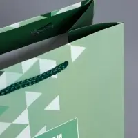Пакет подарочный ламинированный &laquo;Радости и позитива&raquo;, зелёный, 18&times;22.3&times;10 см