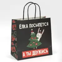 Пакет подарочный новогодний «А ты держись», 22 х 22 х 11 см Пакет подарочный новогодний «А ты держись», 22 х 22 х 11 см