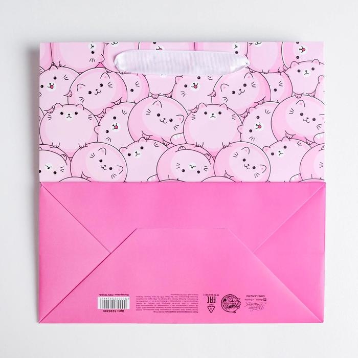 Пакет подарочный ламинированный квадратный, упаковка, Surprise, 22 х 22 х 11 см