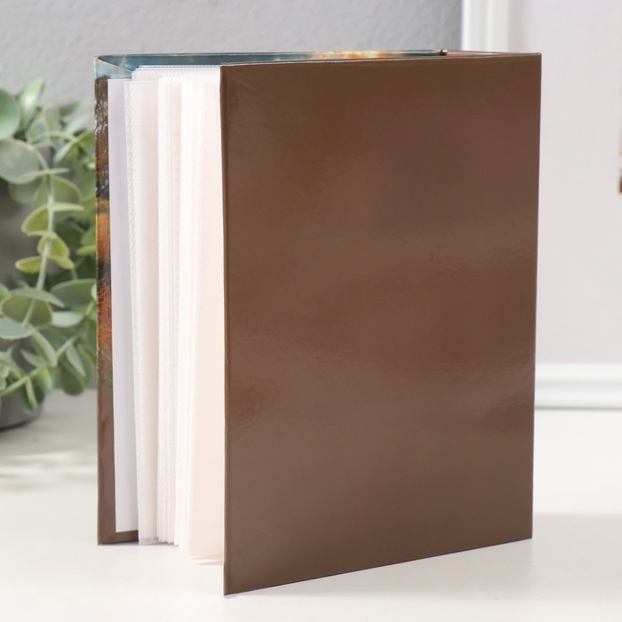 Фотоальбом на 100 фотографий Фотоальбом на 100 фотографий "Ландшафт-5, Река" 10x15 см