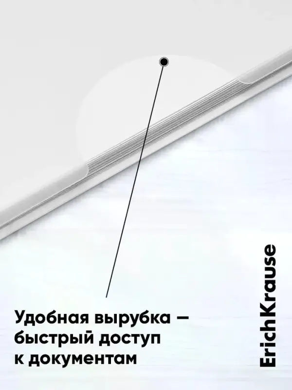 Папка-уголок А4, 160 мкм, ErichKrause Glossy Classic, прозрачная, микс