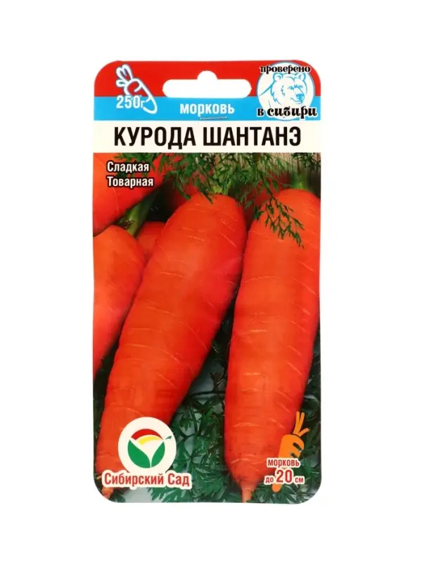 Семена Морковь Курода Шантанэ 1г