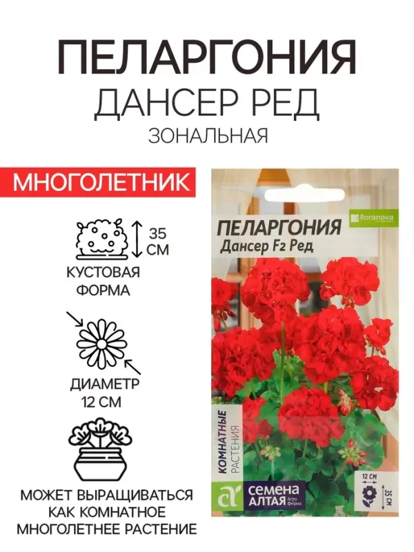 Семена цветов Пеларгония &laquo;Дансер Ред&raquo;, зональная, 3 шт., &laquo;Семена Алтая&raquo;