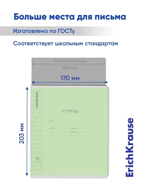 Тетрадь 12 листов в косую линейку ErichKrause &laquo;Классика Visio&raquo;, обложка мелованный картон, зелёная