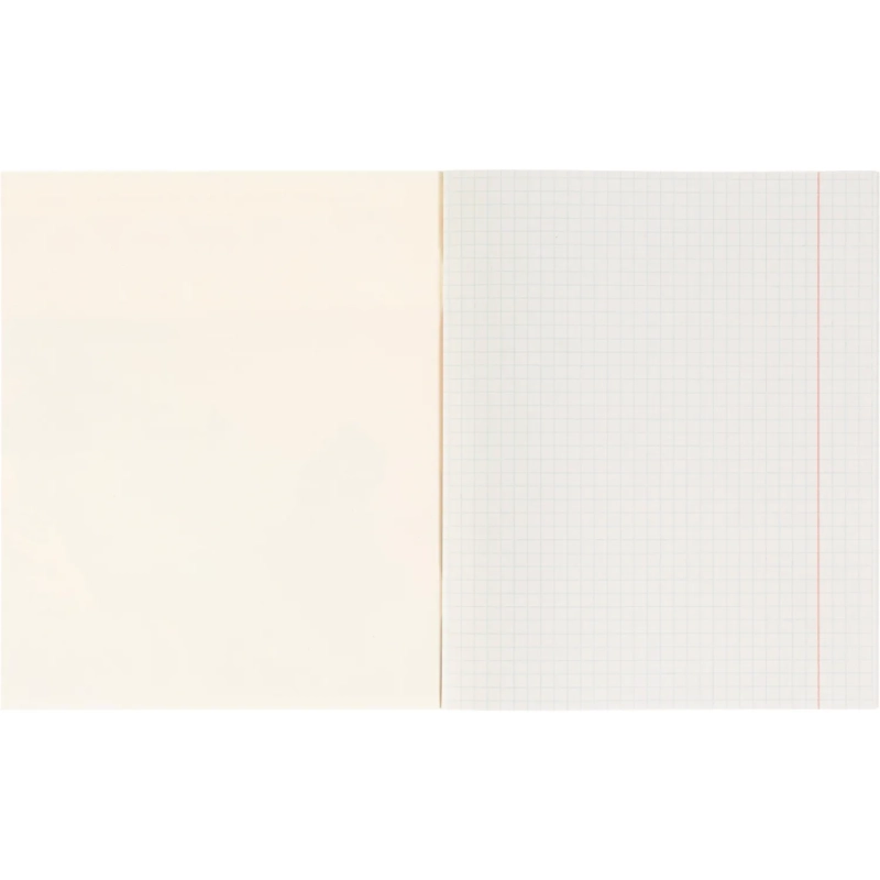 Тетрадь КЛЕТКА 48л.ПРИБРЕЖНЫЕ ВИДЫ 48-5049обл.цвет. мелов.,второй блок