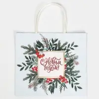 Пакет подарочный крафтовый «Рябина», 25 х 22 х 12 см Пакет подарочный крафтовый «Рябина», 25 х 22 х 12 см