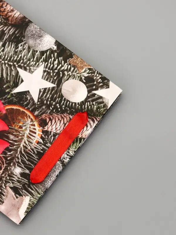 Пакет подарочный ламинированный Пакет подарочный ламинированный "Игрушки в снегу", 18 х 23 х 10 см