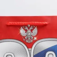 Пакет подарочный ламинированный, упаковка, &laquo;23 февраля!&raquo;, ML 23&times;27&times;11.5 см