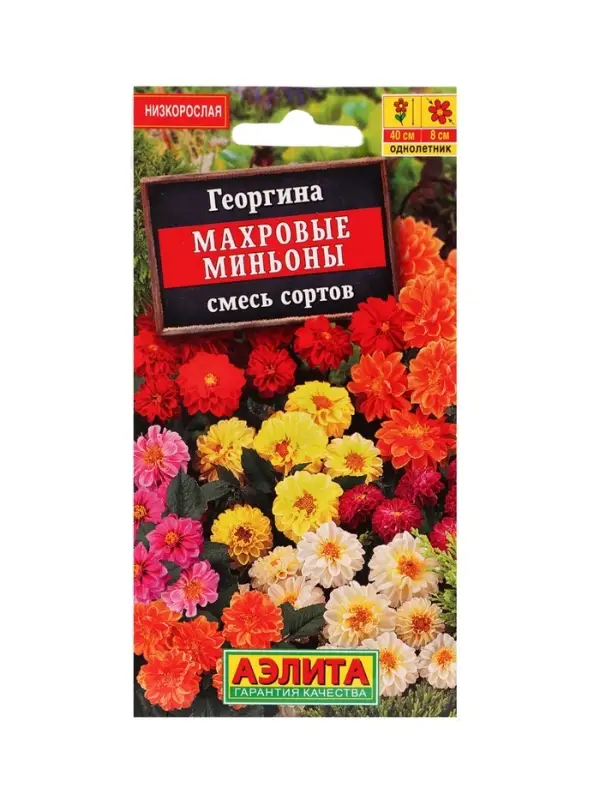 Набор Семена цветов Георгины махровая низкорослая (238760048) ВБ