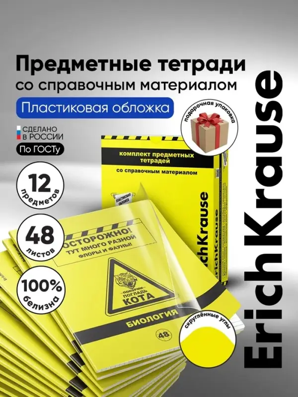 Комплект предметных тетрадей ErichKrause. Be Informed, 12 предметов, 48 листов, со справочным материалом, пластиковая обложка