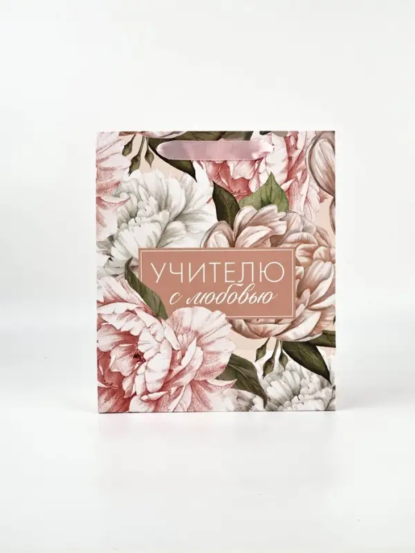 Подарочный набор &laquo;Учителю с любовью&raquo;, пакет и открытка,  ML 27 &times; 23 &times; 11,5 см