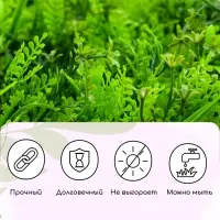 Декоративная панель, 60&times;40 см, &laquo;Сочная трава&raquo;, Greengo