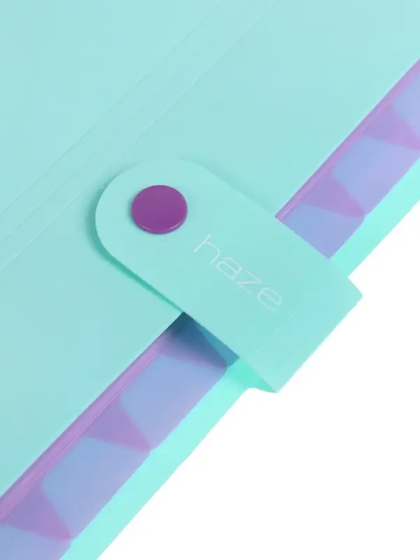 Папка А4 Haze, 12 отделений, 600 мкм, на кнопке, мятная