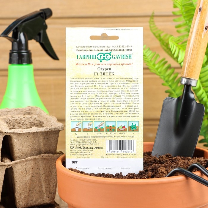 Семена Огурец  Семена Огурец "Зятек" F1, скороспелый, партенокарпический, 10 шт.