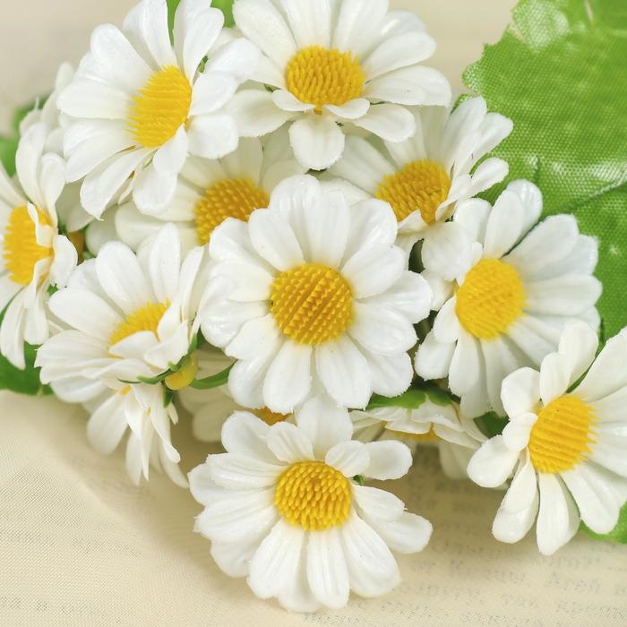 Букет Букет "Ромашки галант" 20 см