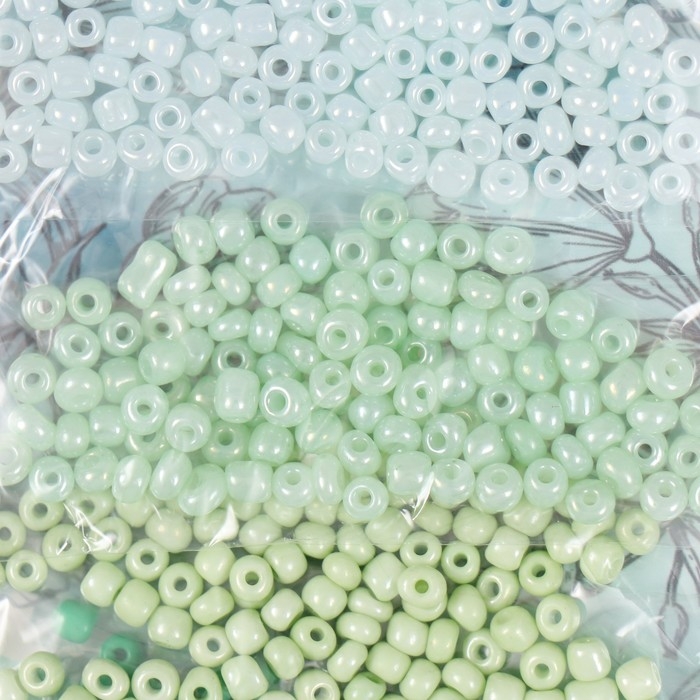 Бисер круглый 6/0  Бисер круглый 6/0 "Утро в саду" 5 цветов х 10 гр 20х8х0,7 см