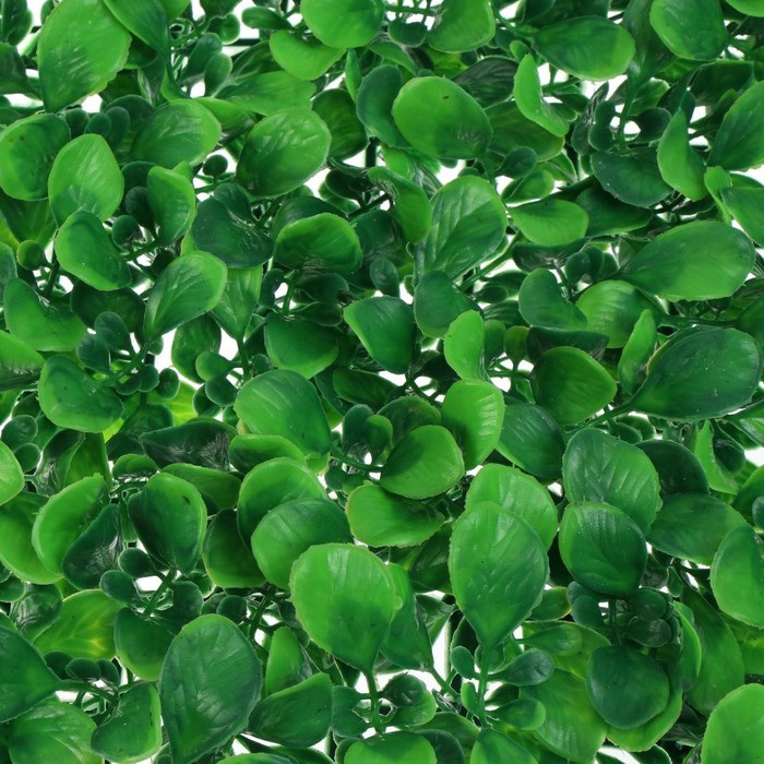 Декоративная панель, 60 × 40 см, «Мокрица», Greengo Декоративная панель, 60 × 40 см, «Мокрица», Greengo