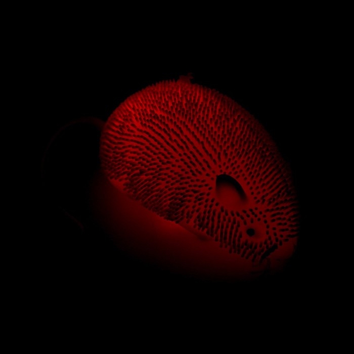 Ёжка «Мышка» световой, цвета МИКС Ёжка «Мышка» световой, цвета МИКС