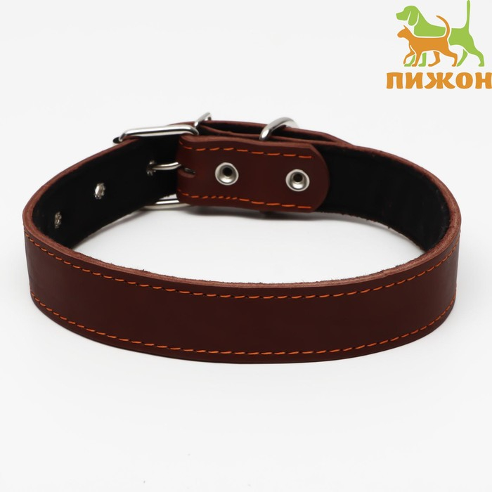 Ошейник кожаный на синтепоне, 70 х 3,5 см, ОШ 45-60 см, коричневый Ошейник кожаный на синтепоне, 70 х 3,5 см, ОШ 45-60 см, коричневый