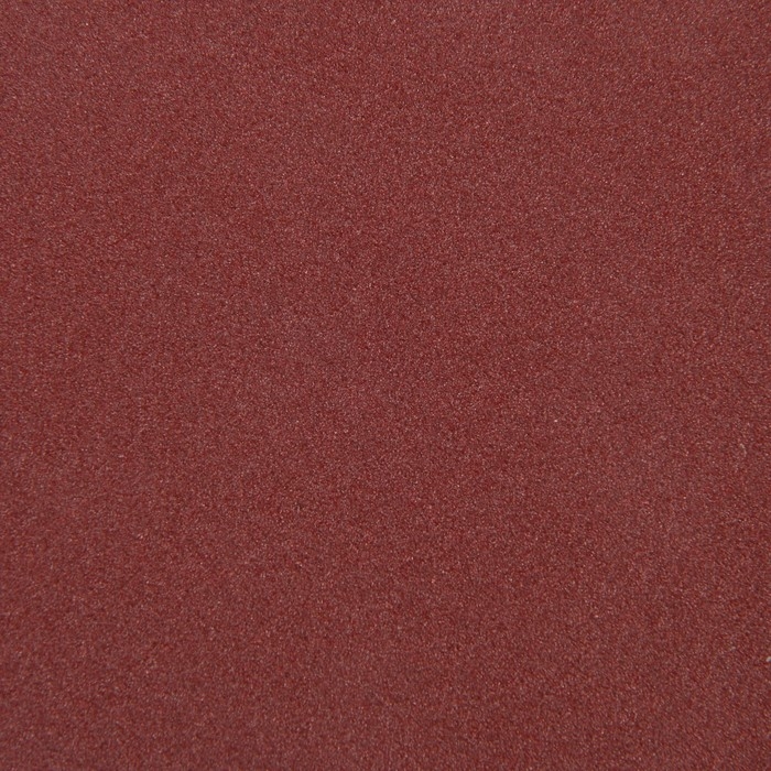 Круг абразивный шлифовальный под Круг абразивный шлифовальный под "липучку" ТУНДРА, 125 мм, Р120, 10 шт.