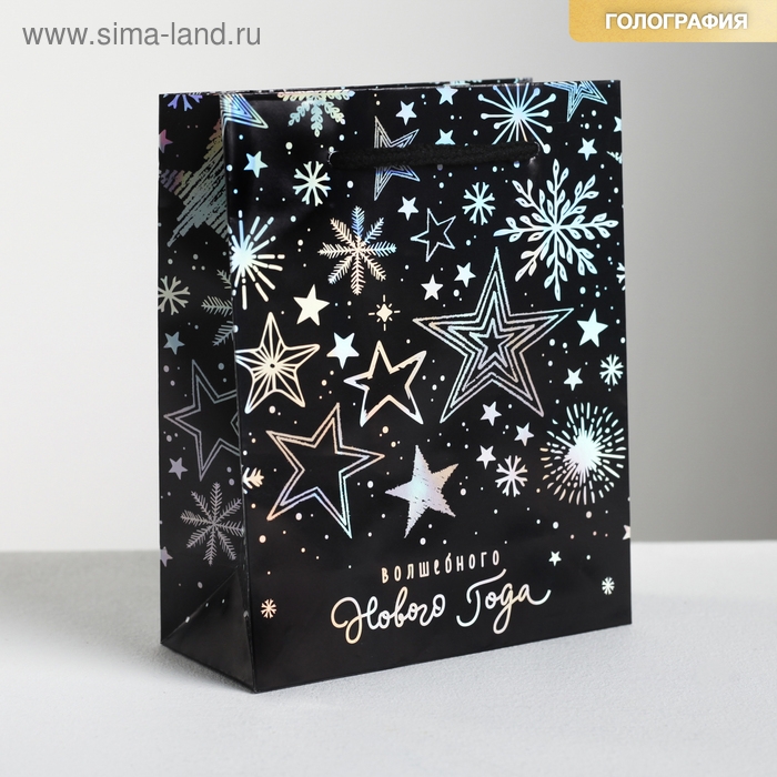 Пакет голографический вертикальный «Волшебного Нового года», S 12 х 15 х 5.5 см, Новый год Пакет голографический вертикальный «Волшебного Нового года», S 12 х 15 х 5.5 см, Новый год