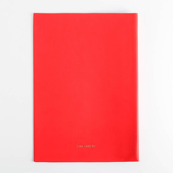 Папка для документов «Docs», 8 файлов А4 Папка для документов «Docs», 8 файлов А4