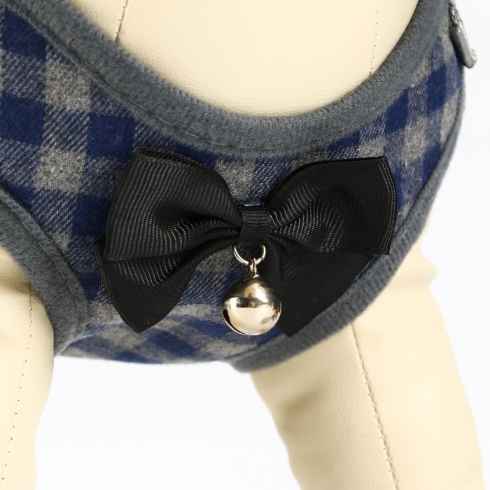 Комплект амуниции с мягкой шлейкой, М, поводок 120 х 1 см, ОШ 28-48 см, ОГ 32-52 см, серый Комплект амуниции с мягкой шлейкой, М, поводок 120 х 1 см, ОШ 28-48 см, ОГ 32-52 см, серый