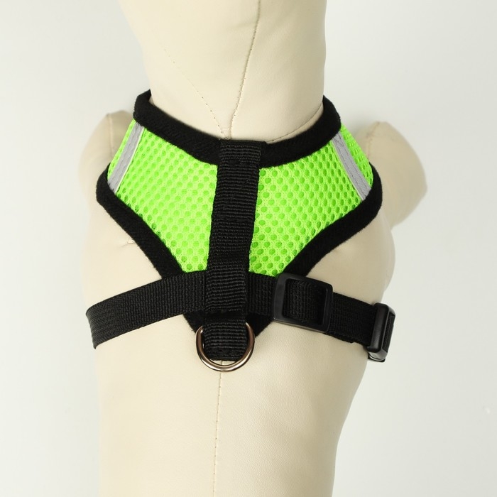 Комплект амуниции с мягкой шлейкой и светоотражающей нашивкой, XL, ОШ 40 см, ОГ 46-60 см, зелёный, 7 Комплект амуниции с мягкой шлейкой и светоотражающей нашивкой, XL, ОШ 40 см, ОГ 46-60 см, зелёный, 7