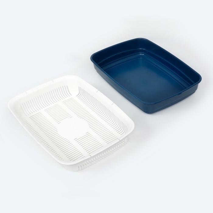 Лоток большой с сеткой Atlantis "Стандарт", 42 х 31 х 10 см, синий,