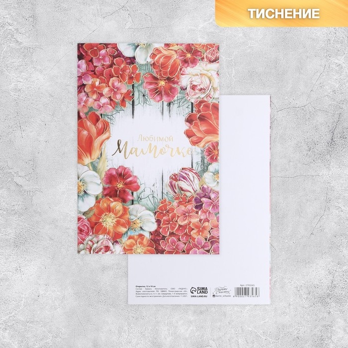 Набор адресных открыток  Набор адресных открыток "На все случаи", 20 шт, 12 × 18 см