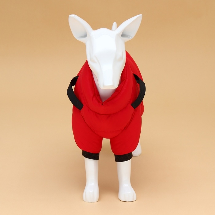 Комбинезон для собак со шлейкой Комбинезон для собак со шлейкой "Моден", размер 14 (ДС 32, ОГ 42, ОШ 31 см), красный