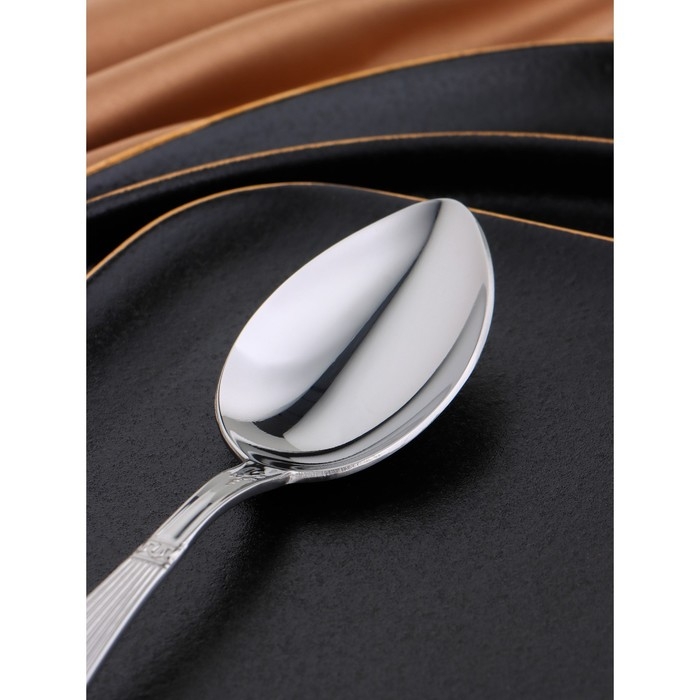 Ложка десертная из нержавеющей стали «Беркли», длина 17,5 см, толщина 2,5 мм, цвет серебряный