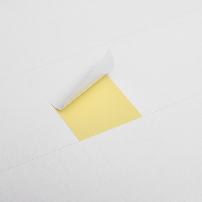 Этикетки А4 самоклеящиеся 50 листов, 80 г/м, на листе 21 этикетка, размер: 65 х 40 мм, матовые, белые Этикетки А4 самоклеящиеся 50 листов, 80 г/м, на листе 21 этикетка, размер: 65 х 40 мм, матовые, белые