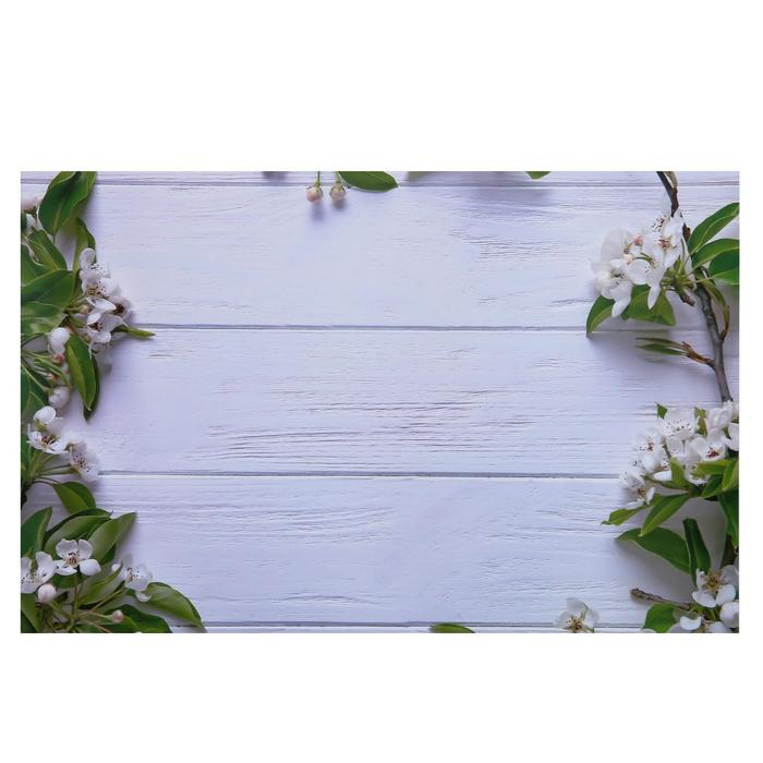 Фотофон двусторонний бумага 300 гр Фотофон двусторонний бумага 300 гр "Яблочный цвет на голубом и белом" 57х87 см