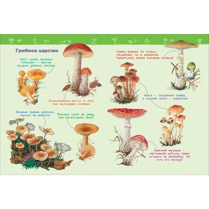 Энциклопедия для детского сада «В лесу» Энциклопедия для детского сада «В лесу»