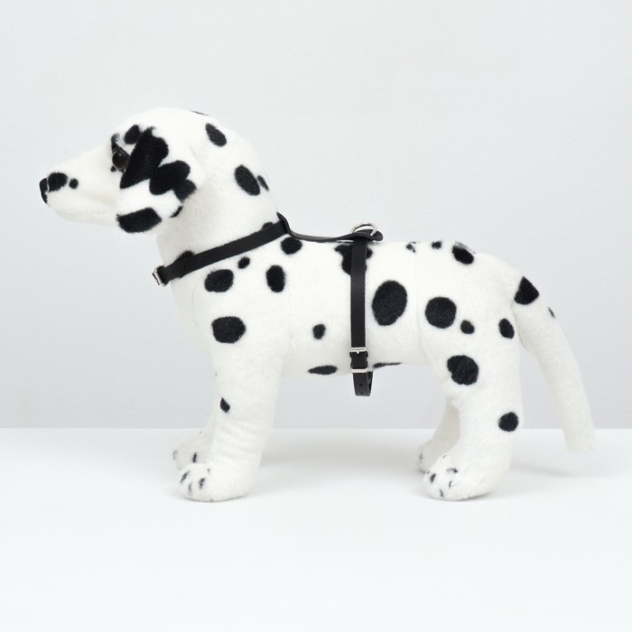 Шлейка кожаная однослойная Шлейка кожаная однослойная "Люкс", ОШ 26-34 см, ОГ 36-44 см, ширина 1,1 см, чёрная