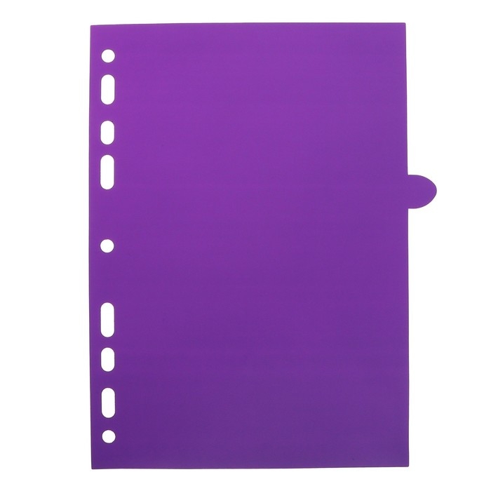 Разделитель листов A5 (210 x 165 мм) цветовой, 12 листов, Разделитель листов A5 (210 x 165 мм) цветовой, 12 листов, "deVENTE. Pastel" полипропилен 140 мкм, индивидуальная упаковка