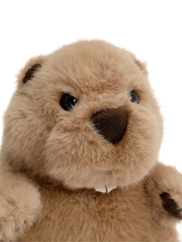 Мягкая игрушка "Бобёр Бобрик", 22 см OT8036/22