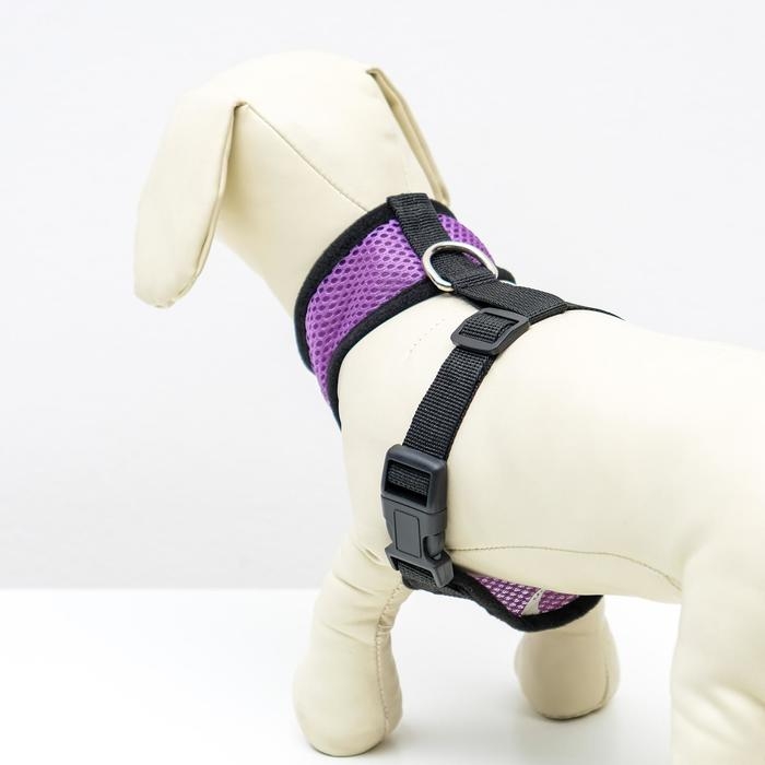 Шлейка мягкая из неопрена, размер S, ОШ 24 см, ОГ 24-34 см, фиолетовая Шлейка мягкая из неопрена, размер S, ОШ 24 см, ОГ 24-34 см, фиолетовая